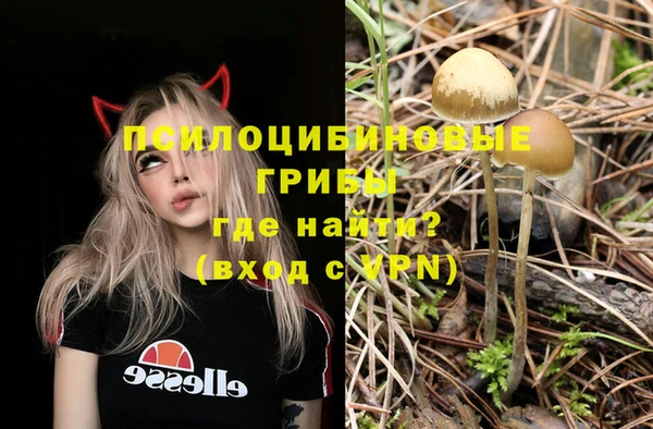 не бодяженный Балахна