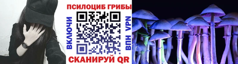 Псилоцибиновые грибы Cubensis  Вяземский 